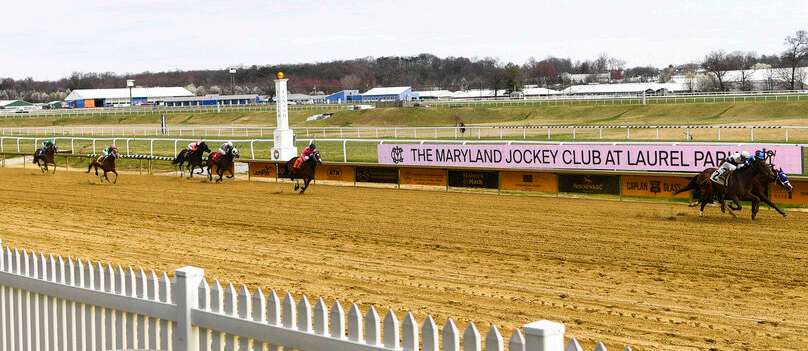 Thoroughbred racing at Laurel Park
